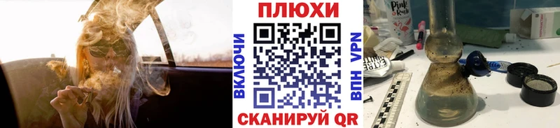 ГАШ Premium  Сасово 