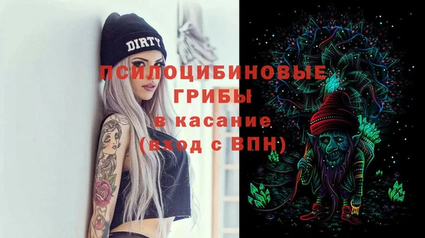 круглые Алзамай