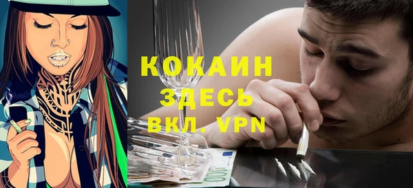 тгк Пересвет