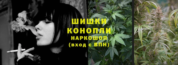 ешки Алексин
